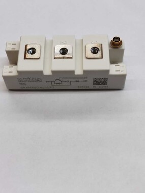 SEMİKRON - SKM145GAL123D IGBT MODULE
