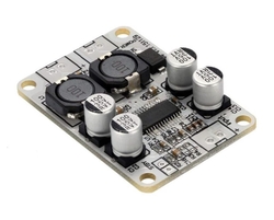 China - TPA3110 1*30W Mono Amfi Devresi